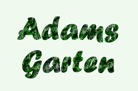 Grätzlprojekt Adamsgarten